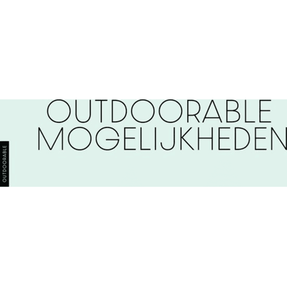 Platinum Bout Met Oog Voor Houten Paal M8x100mm Chroom