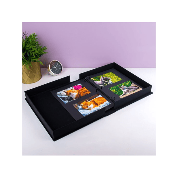 Printworks Fotoalbum Katten A Cats Life
