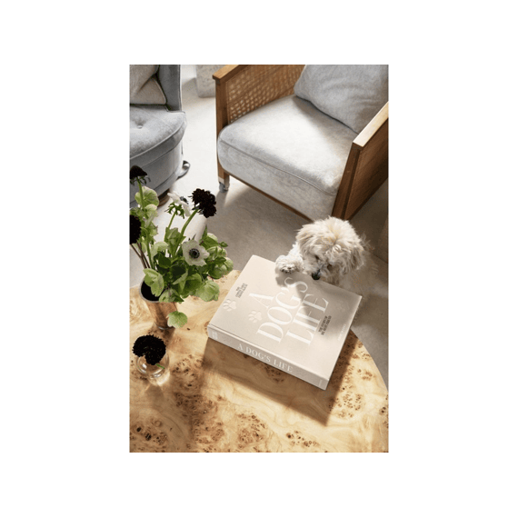 Printworks Fotoalbum A Dogs Life