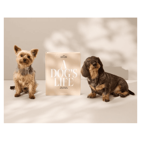 Printworks Fotoalbum A Dogs Life