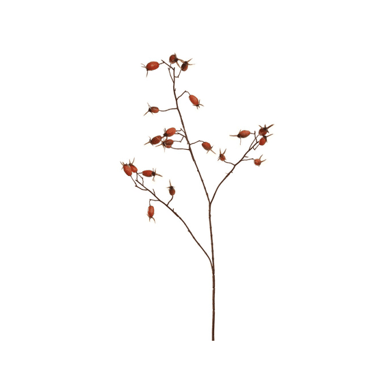 Rosehip Spray 77cm Orange