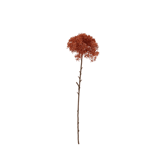 Sedum 65cm Orange
