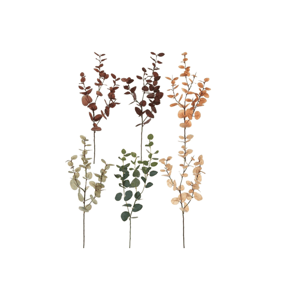 Eucalyptus 79cm Assorted Assortiment