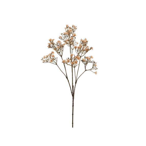 Dark Gypso 70cm Assorted Assortiment