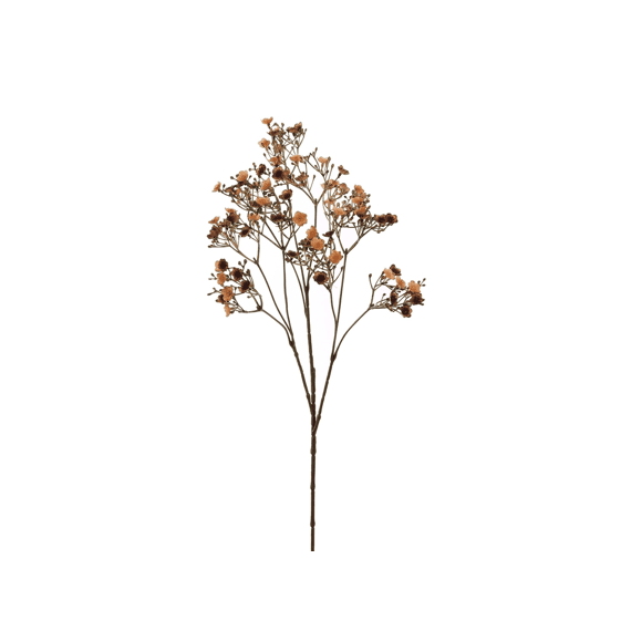 Dark Gypso 70cm Assorted Assortiment
