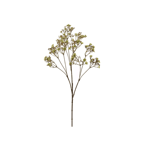 Dark Gypso 70cm Assorted Assortiment