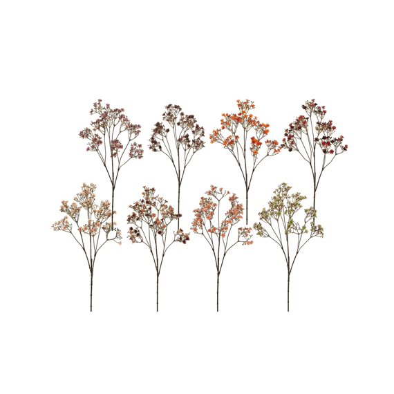 Dark Gypso 70cm Assorted Assortiment
