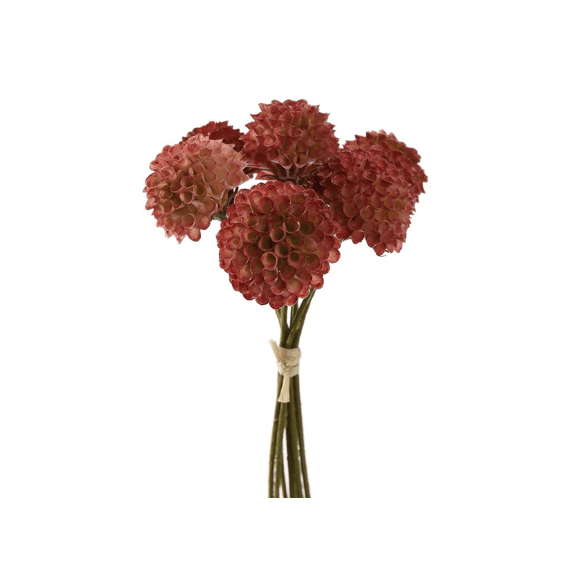 Dahlia Bundle 28cm Beauty