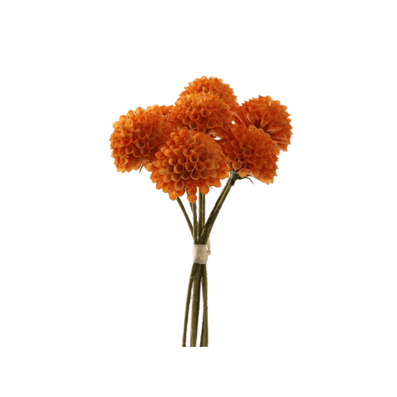 Dahlia Bundle 28cm Orange