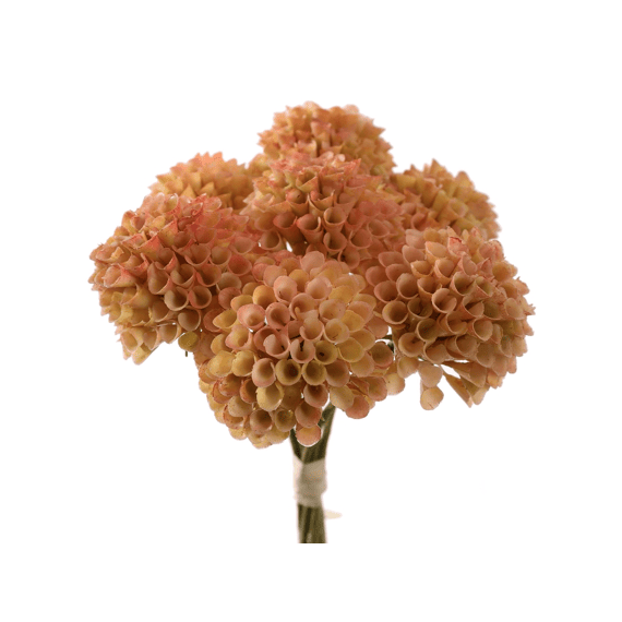 Dahlia Bundle 28cm Peach