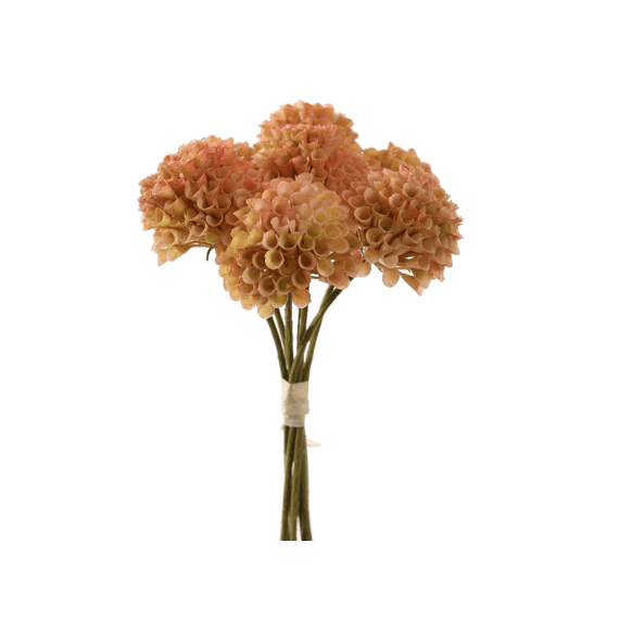Dahlia Bundle 28cm Peach