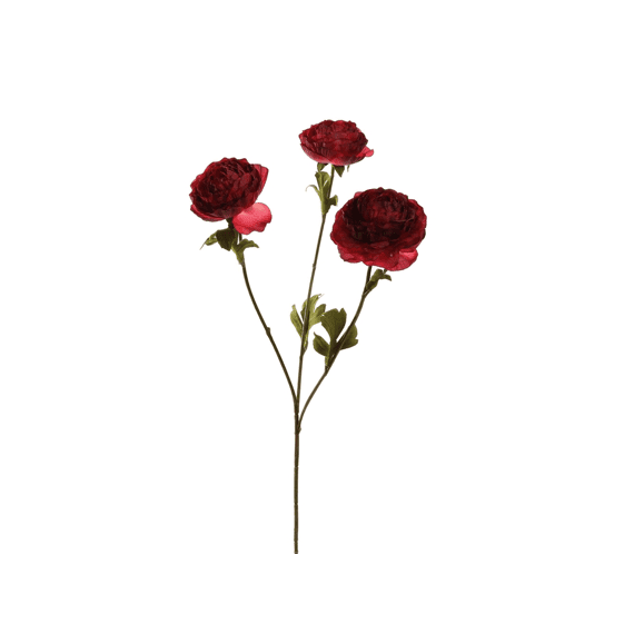 Ranunculus 60cm Burgundy