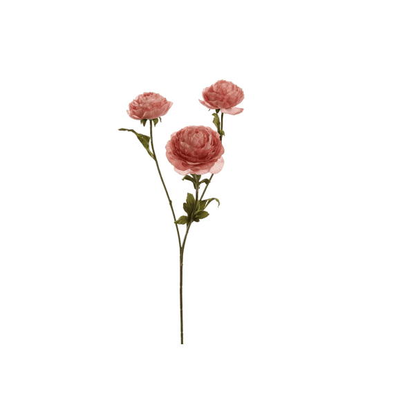 Ranunculus 60cm Pink