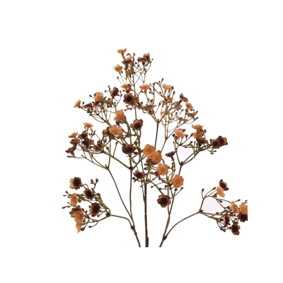 Dark Gypso 70cm Brown