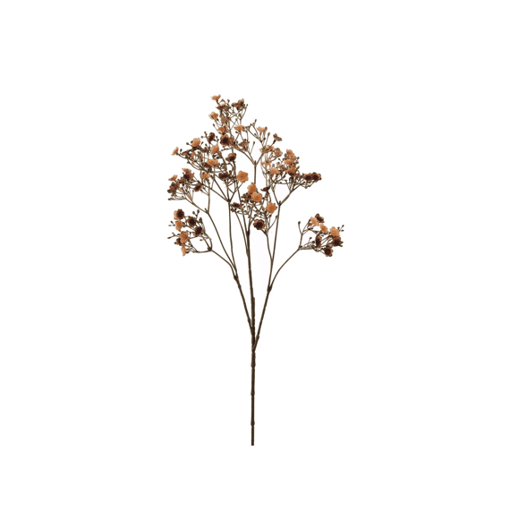 Dark Gypso 70cm Brown