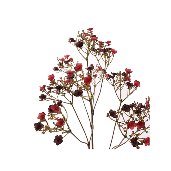 Dark Gypso 70cm Burgundy