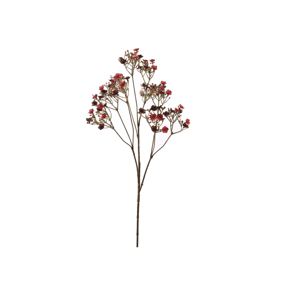 Dark Gypso 70cm Burgundy