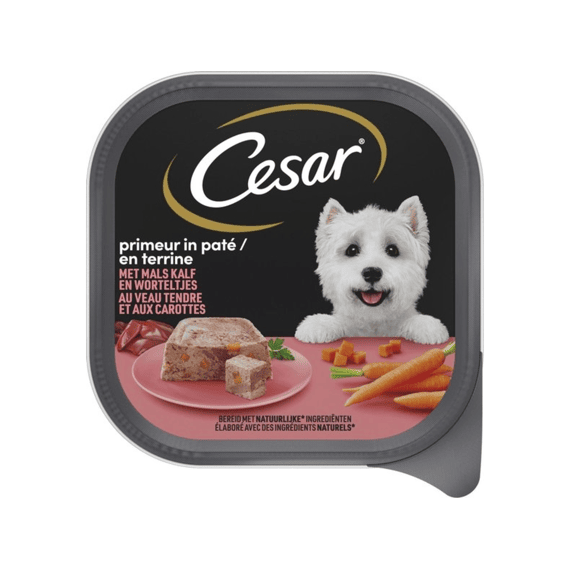 Cesar Pouch Multipack 8x150g