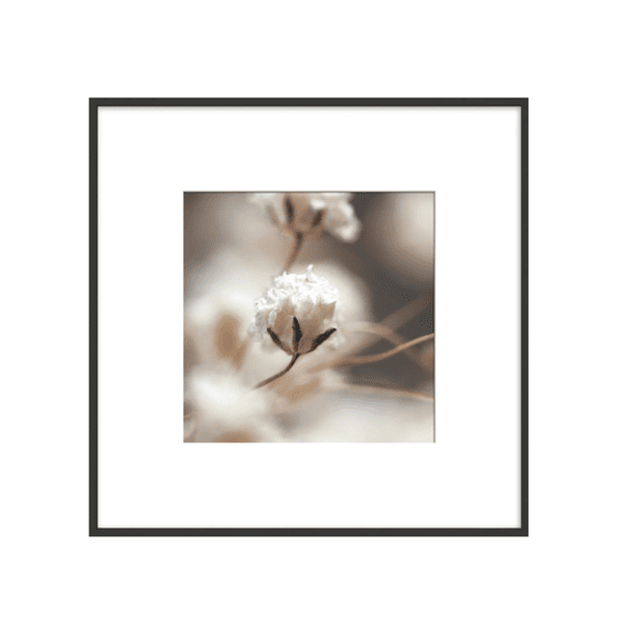 Fotolijst Brasil Zwart (fsc Mix) 50x50 Cm