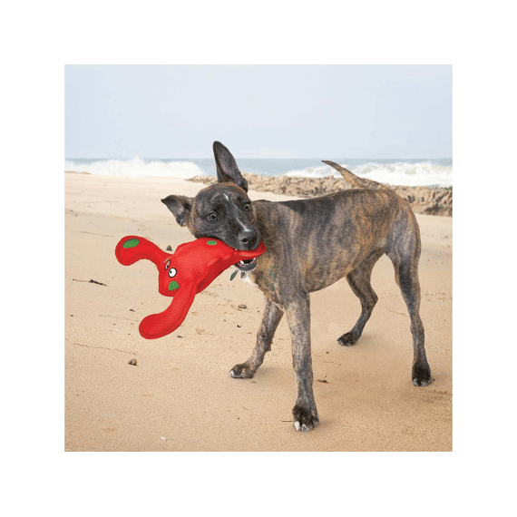 Kong Belly Flops Lobster M-28x21x9cm Rood