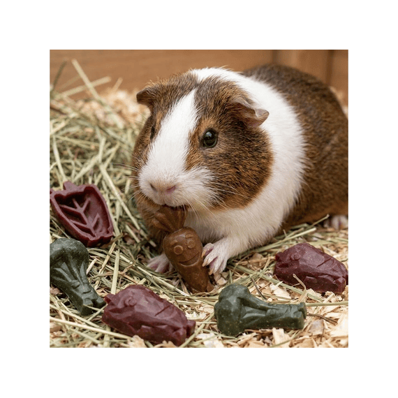Garden Bites Veggie Friends 9st-14cm-76g Meerkleurig