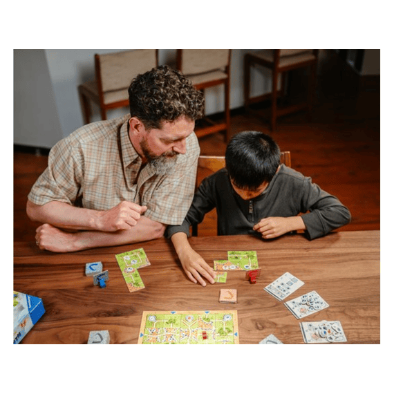 Spel Carcassone Labyrinth
