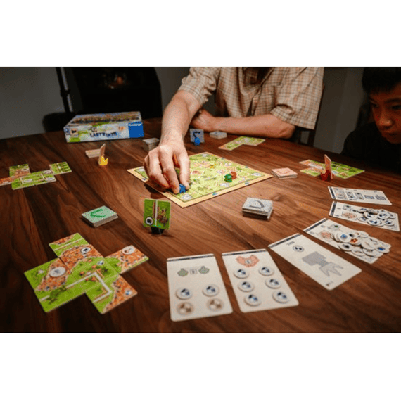 Spel Carcassone Labyrinth