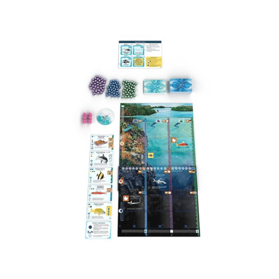 999 Games Spel Finspan Uitbreiding: Haaien En Riffen