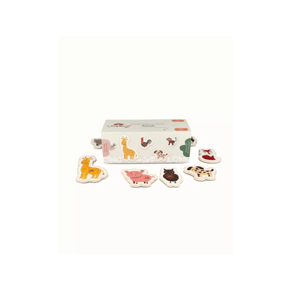 Tix&mix Magnetische Speelset Ontmoet De Dieren 20 St