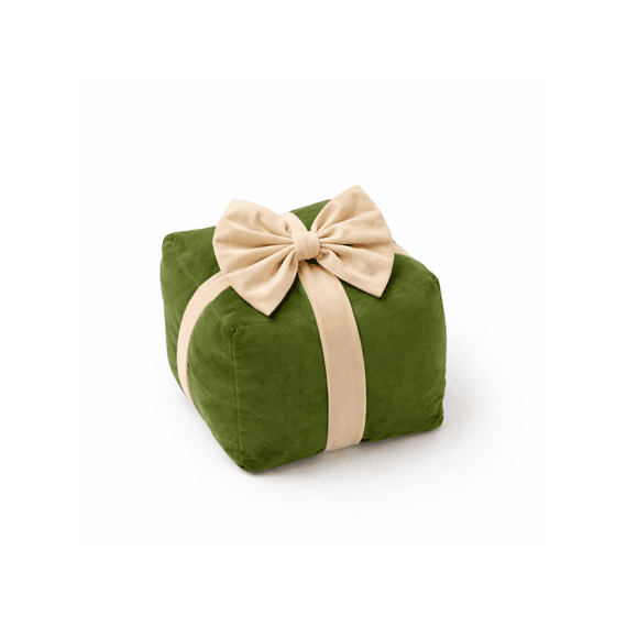 Dutch Decor Sierkussen Cuddle Giftbox 20x20x18 Cm Bronze Green