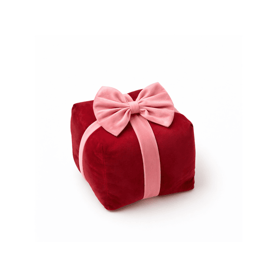 Dutch Decor Sierkussen Cuddle Giftbox 20x20x18 Cm Peony