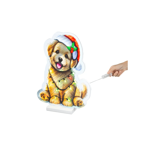 Led Infinity Lights Pet Steady L1.3-w26-h36cm Multi