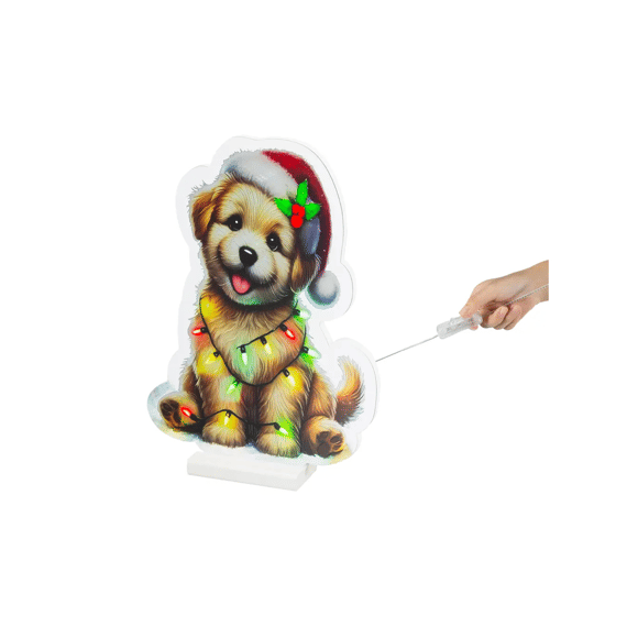 Led Infinity Lights Pet Steady L1.3-w26-h36cm Multi