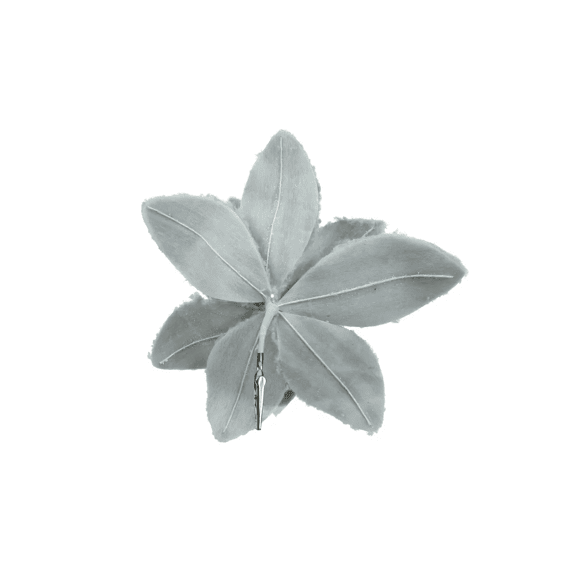 Poinsettia Kunstbont Clip Dia28-h10cm Salie Groen