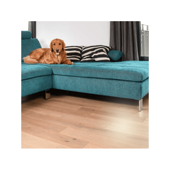 Vileda Petpro Always Cleam Bezem