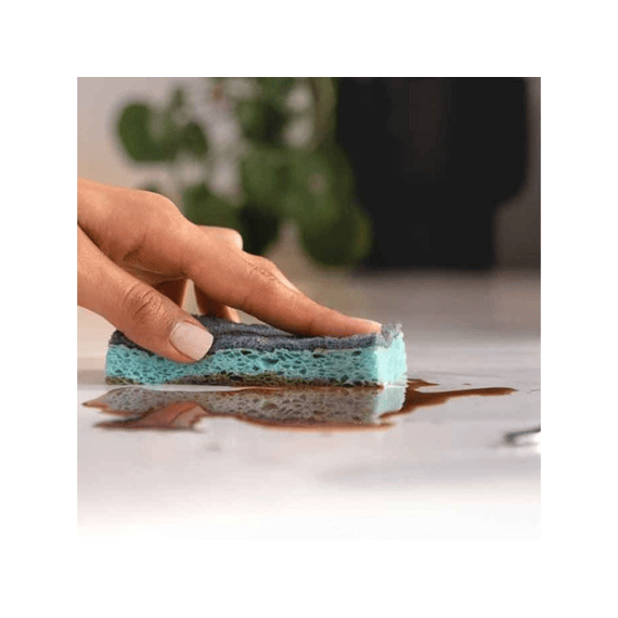 Vileda Pro Clean Spons Met Enzymen Per 2