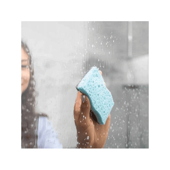 Vileda Pro Clean Spons Met Enzymen Per 2
