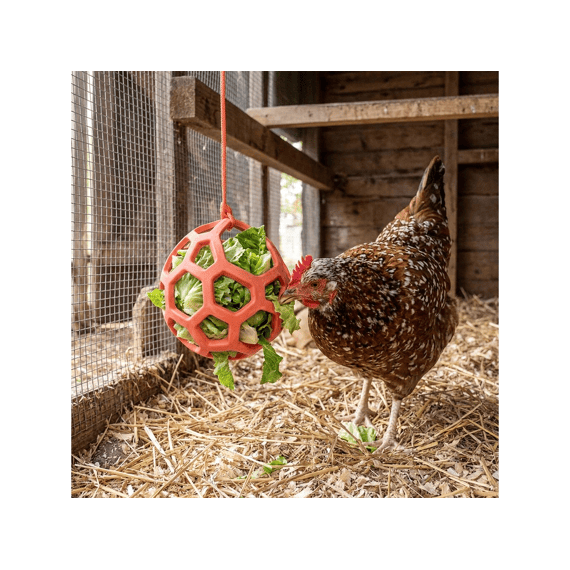 Voederbal Voor Kippen 14cm-1.5m Rood