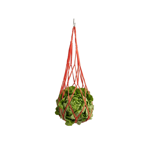 Voedernet Voor Kippen 50x18cm Rood