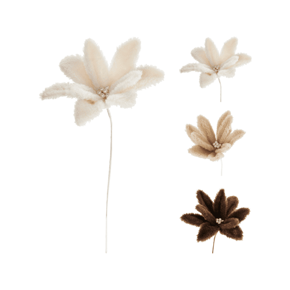 Bloem Teddy 22cm 3 Assortiment