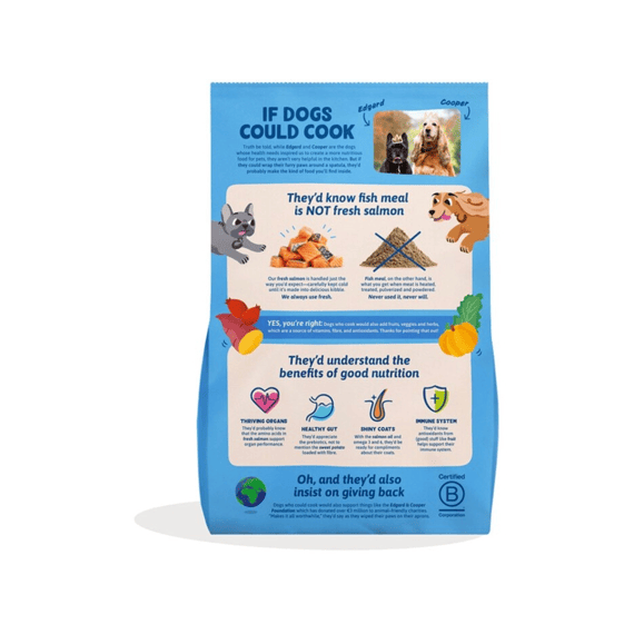 Dog E Adult Dry Zalm M 1kg