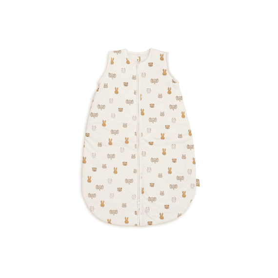 Jollein Slaapzak 90cm Met Afritsbare Mouw Jollies