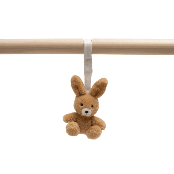 Jollein Babygym Speeltjes Jollies