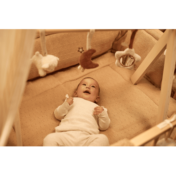 Jollein Babygym Speeltjes Woolly