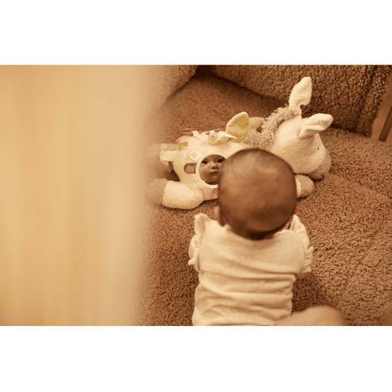 Jollein Activiteiten Knuffel Donkey Dinky