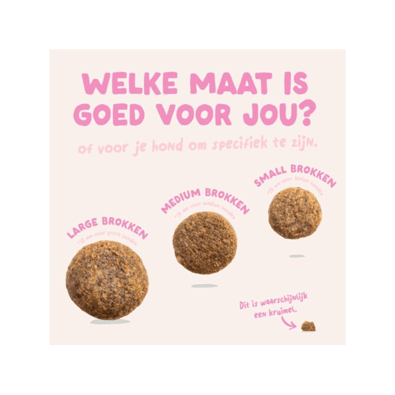 Dog E Puppy Dry Eend/kip M 1kg