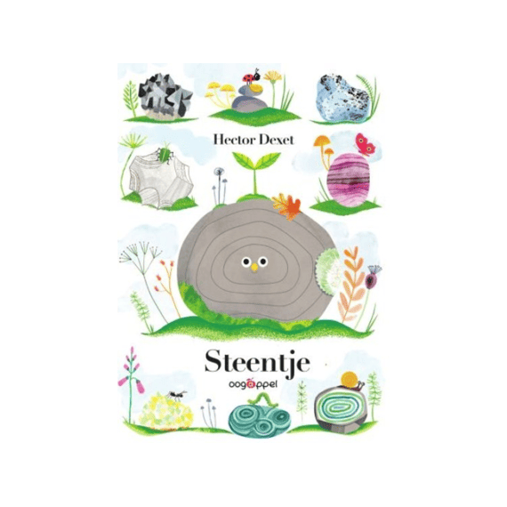 Steentje (kartonboek) - Hector Dexet