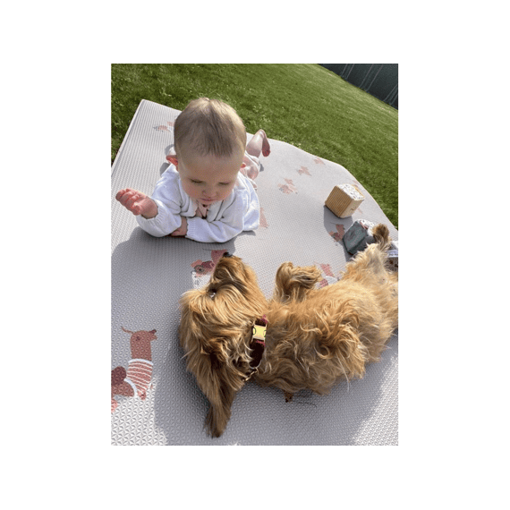 Little Gem Vinyl Speelmat Sausage Squad 100x140 cm