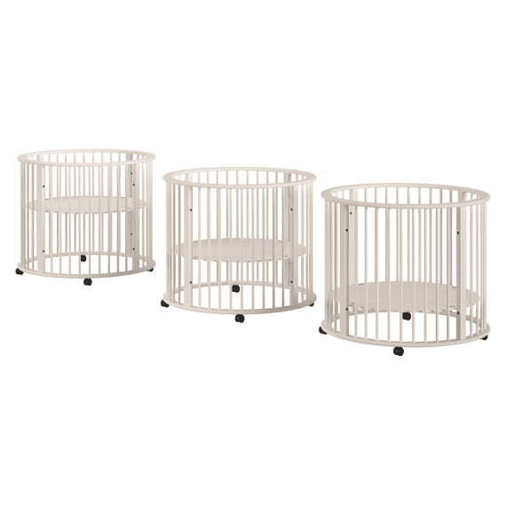 Vipack Box Dino Rond Clay