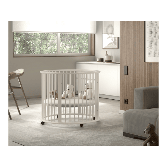 Vipack Box Dino Rond Clay